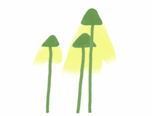 lampe champignon