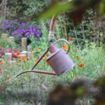 De l'eau de manière originale