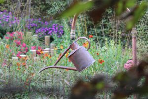 De l'eau de manière originale