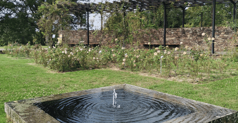 table d'eau