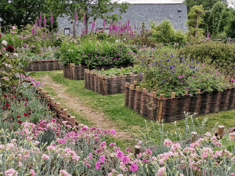 Jardinière aromatique et florale (La Roche-Jagu_Photo tec tec paysage)