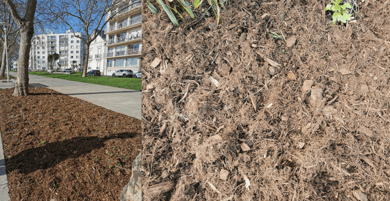 paillage fibre de peuplier (photo tec tec paysage - saint Nazaire)