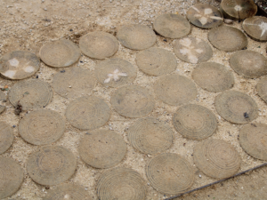 allées en rondin de photo de tec tec paysage festival Chaumont sur loire