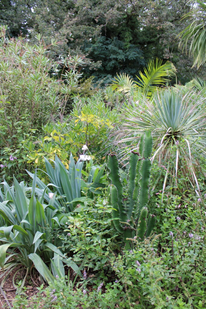 Palette végétale exotique photo tectecpaysage chaumont13 carte verte à Jacqueline Osty