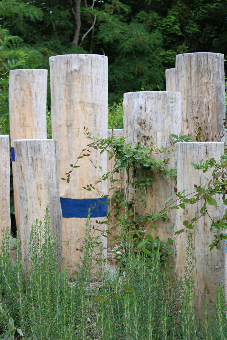 rondin de bois sous forme artistique style jardin zen méditerranée photo tectecpaysage