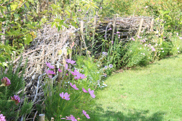 clôture sèche, riche pour la biodiversité, décorative