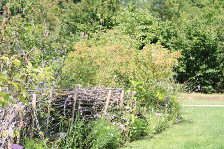 clôture sèche, riche pour la biodiversité, décorative