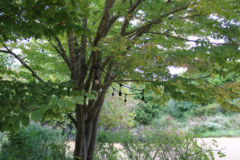 lumière style guinguette