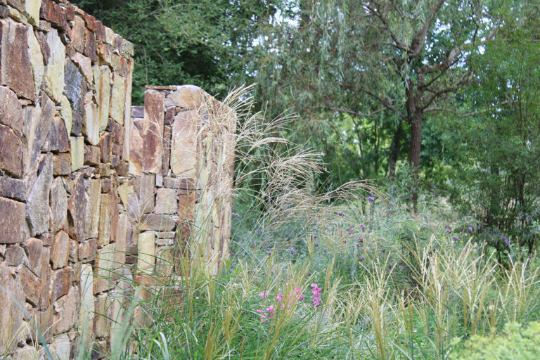 mur en pierre et gestion différenciée (fauche tardive, massif de graminée)