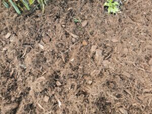 Paillage Fibre de peuplier