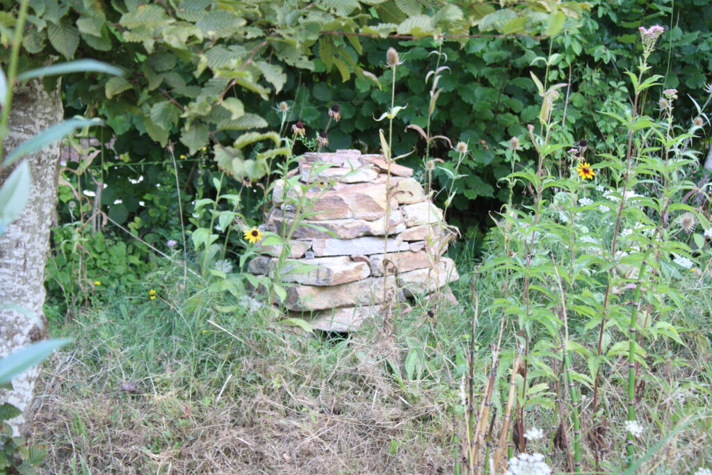 écologie : pierre sèche pour la biodiversité