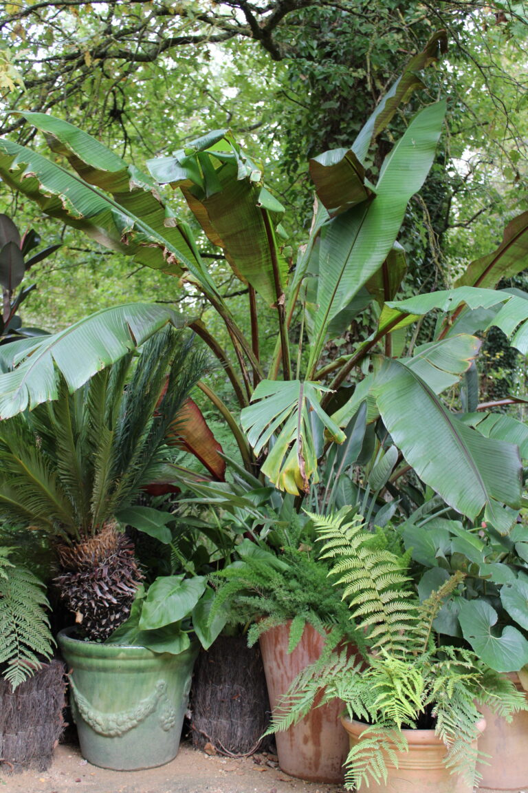 pot en céramique photo tec tec paysage