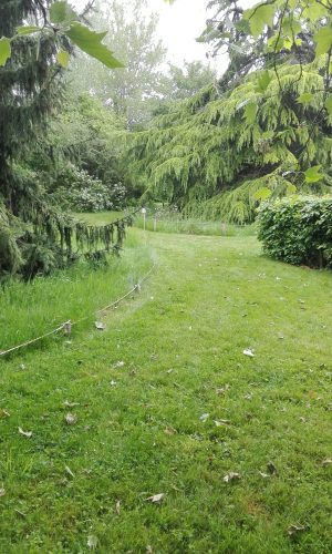 jardin en gestion différencier