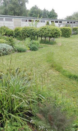jardin en gestion différencier